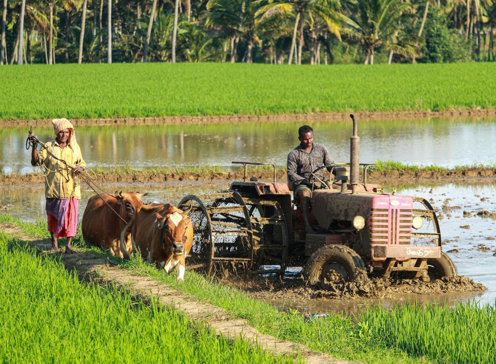 Field preparation and water-managed agriculture